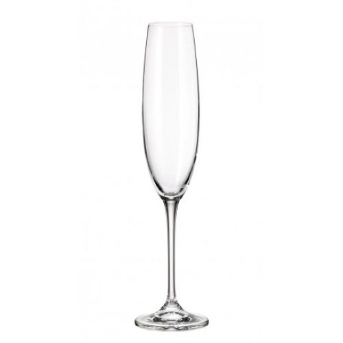 Набор бокалов для шампанского Bohemia Strix (Fulica) 250мл 6шт (8687)